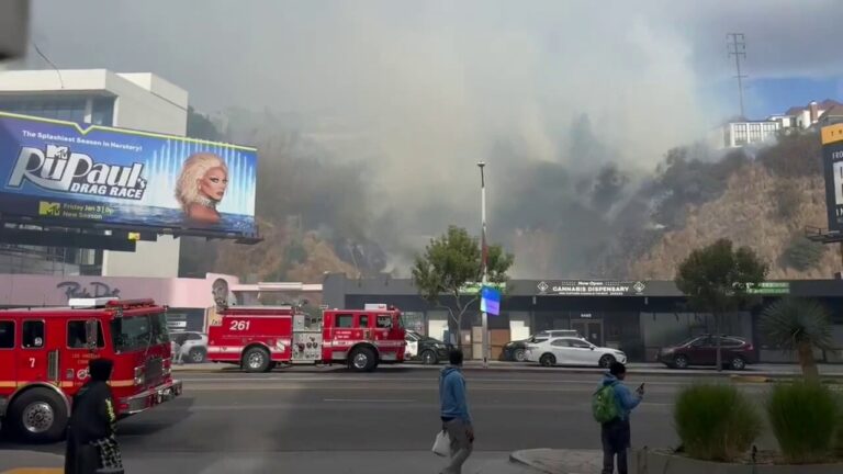 LA fire fighters work to quell flames