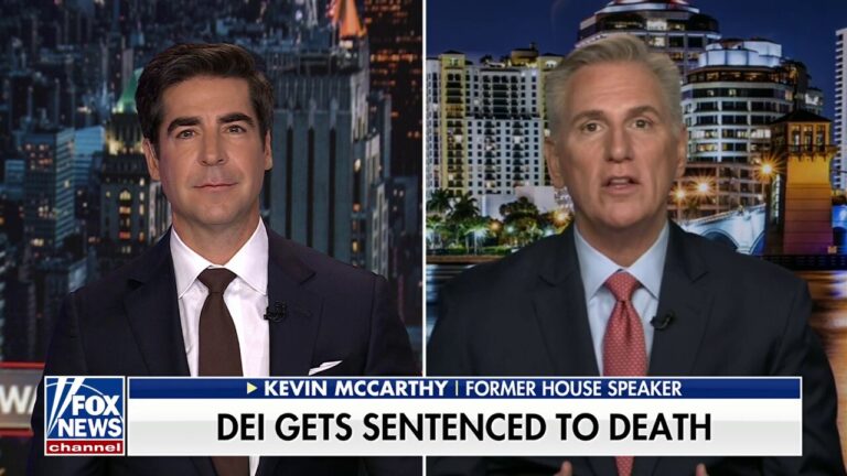 Kevin McCarthy: Americans voted to end DEI