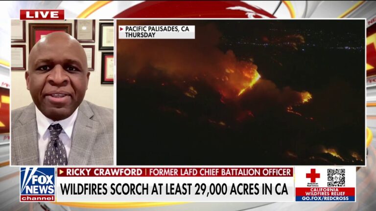 Former LA fire official issues warning on budget cuts as wildfires rage