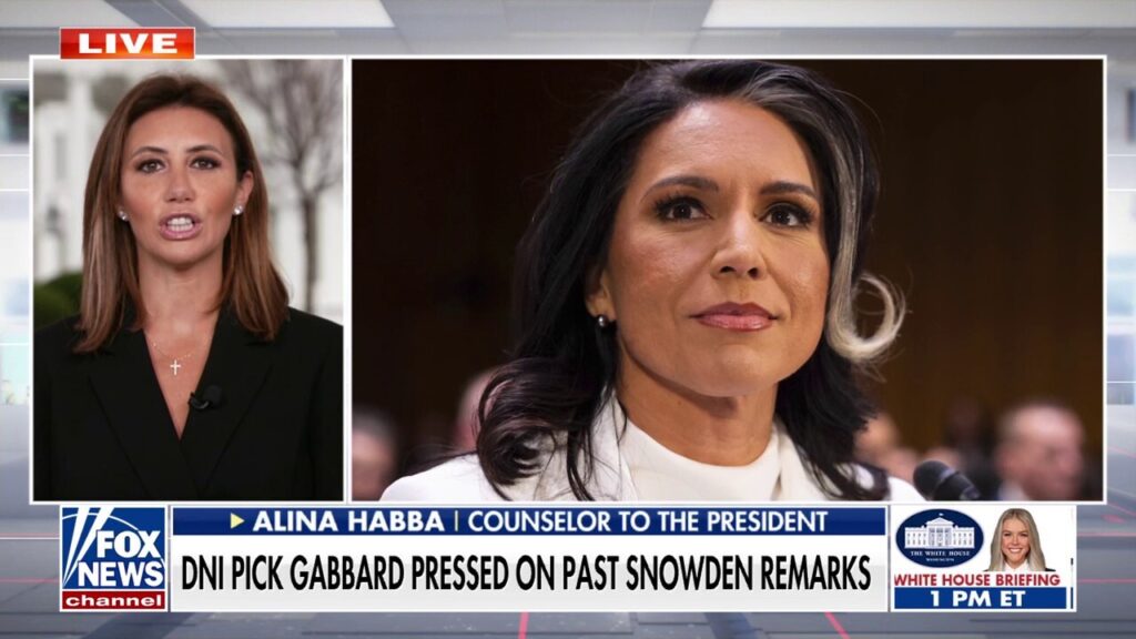 Alina Habba slams Democrats' scrutiny targeting Trump nominees: 'Broadway show'