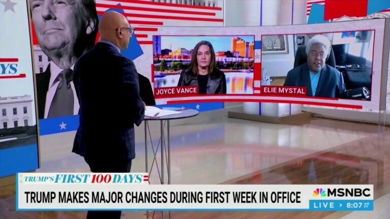 MSNBC's Elie Mystal blames 'majority of White people' for helping Trump win office: 'Great job, White folks'