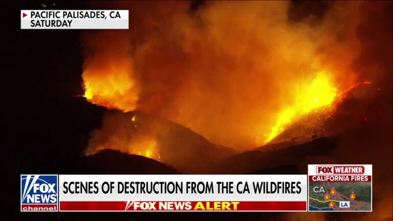 Far-left leaders slammed on wildfire response