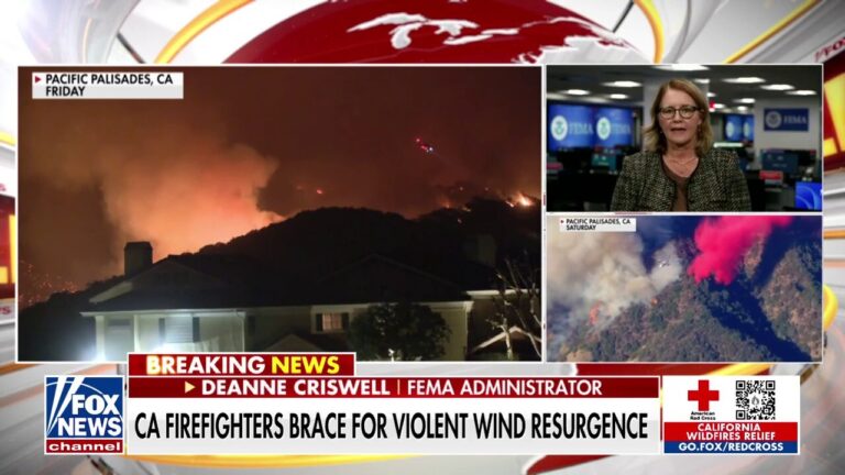 FEMA administrator details resources for victims of Los Angeles wildfires