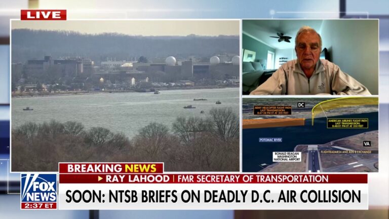 Former transportation secretary: We don't need more flights in this airspace