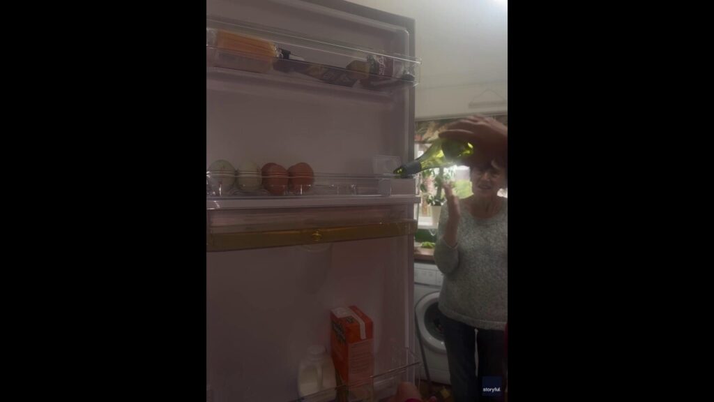 Grandmother turns fridge into wine dispenser: 'Cheers'