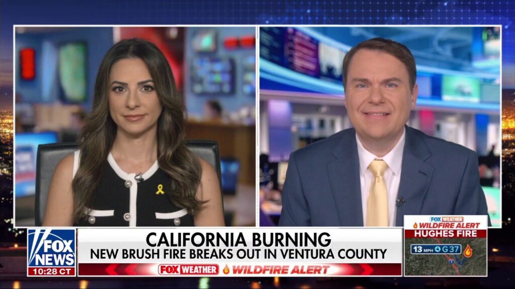 California Democrats are showing ‘they don’t give a damn’ about wildfire victims, state lawmaker says