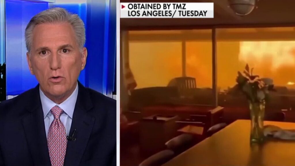 Kevin McCarthy: Gavin Newsom ran California 'into a hole' and 'perpetuated' wildfire problem