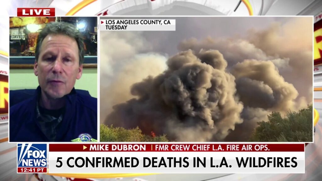 LA wildfires will 'go down in history' as one of most expensive fires ever, says firefighting expert