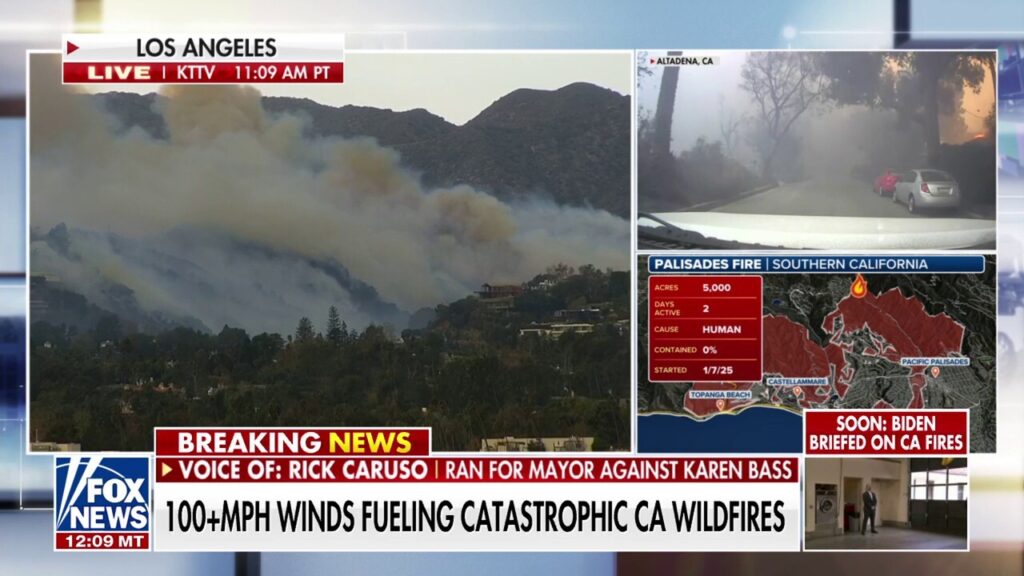 ‘This does look like a third world country,’ says former Los Angeles mayoral candidate on California wildfires