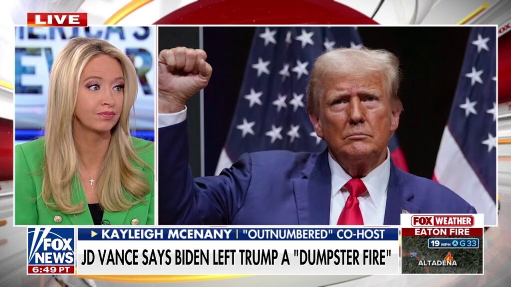 Kayleigh McEnany predicts JD Vance will be 'thoughtful, effective' VP to Trump