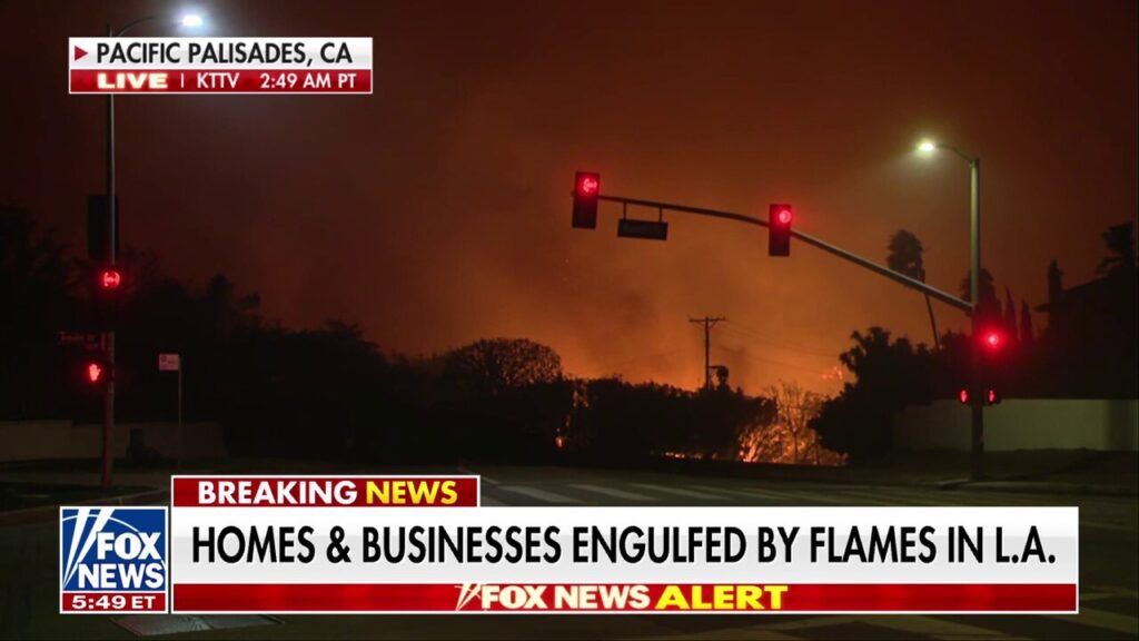 Los Angeles homes, businesses destroyed in wildfires