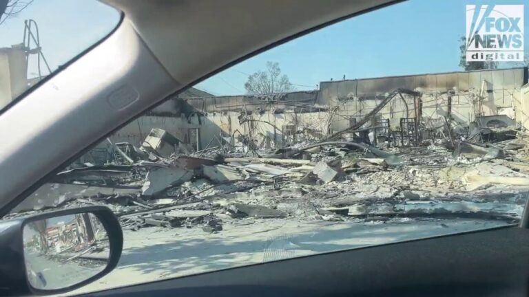 A look at the carnage in Altadena from the Eaton fire