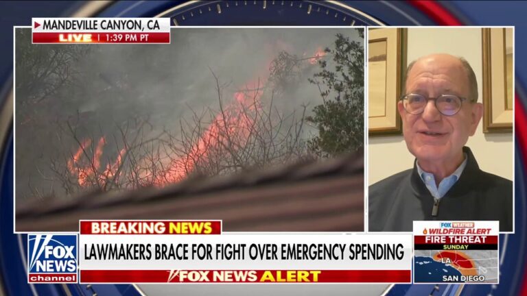 California lawmaker says it’s ‘going to take years to rebuild’ from wildfires