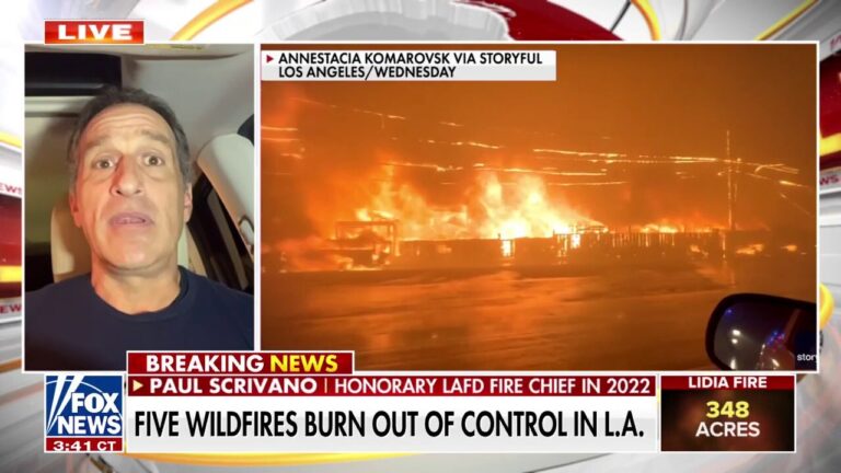 Los Angeles officials, fire chief ripped for DEI push leading up to wildfires: 'Disgrace'