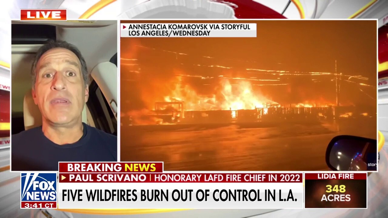 Los Angeles officials, fire chief ripped for DEI push leading up to wildfires: 'Disgrace'