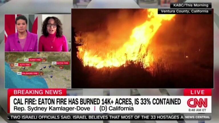 California congresswoman suggests decision made to ‘sacrifice’ Black LA neighborhood to wildfires