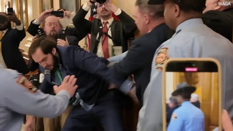 Georgia state senator flung on floor, arrested while trying to enter House chamber