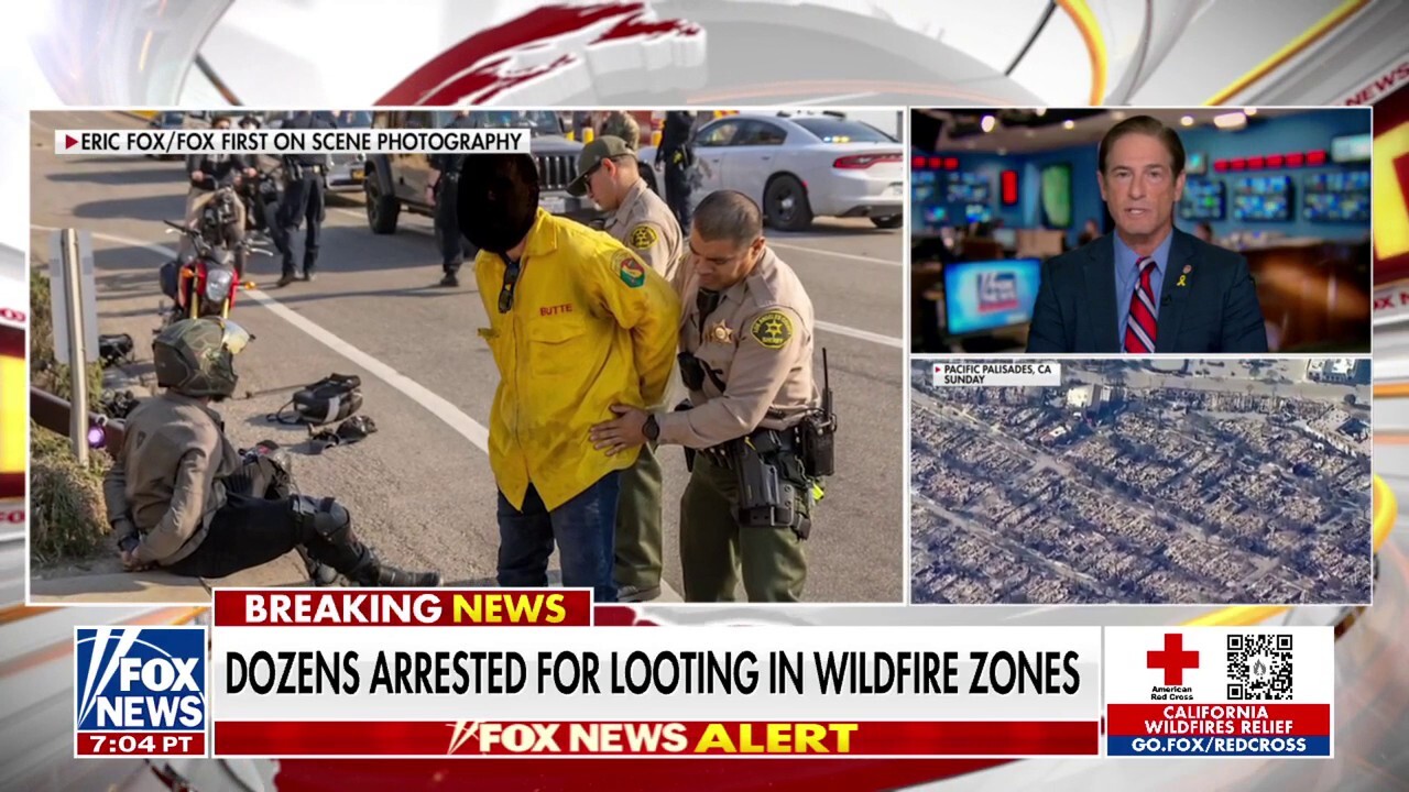 Dozens arrested for looting in fire-ravaged neighborhoods