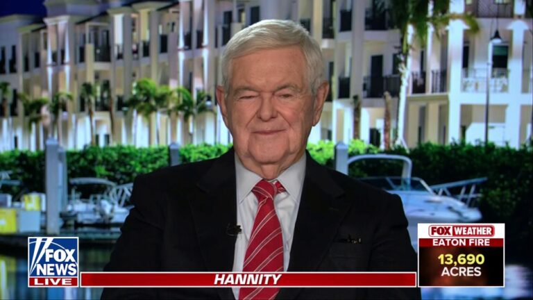 Newt Gingrich: This is total incompetence from a left-wing government