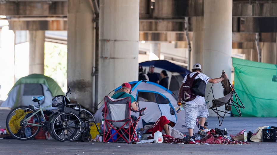 Neighborhood rocked by homeless camp triple murder as former police officer calls for government to intervene