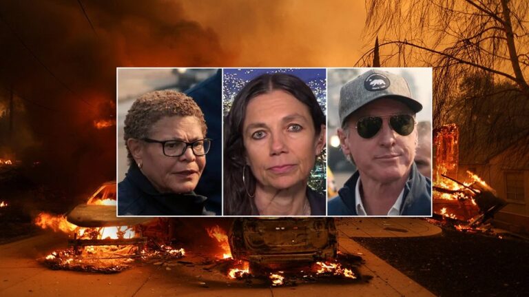 Filmmaker calls out LA County's 'useless' management over wildfires that 'destroyed people's lives'