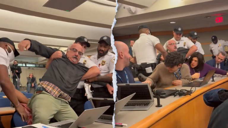 Activist dragged out of Blinken's final press conference: 'you're hurting me!'