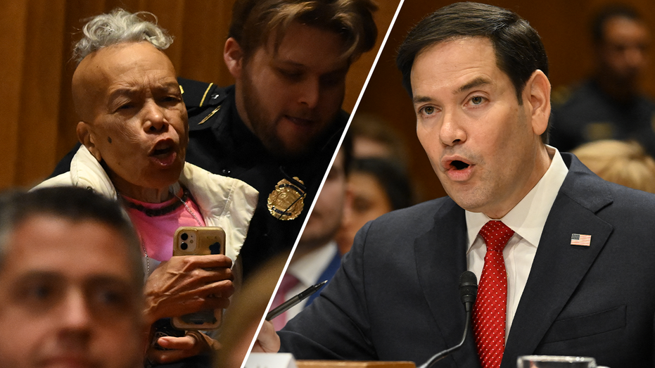 Rubio brushes off demonstrators who erupted in Senate hearing: 'I get bilingual protesters'