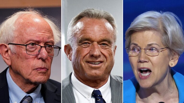 RFK Jr. to meet with slew of Dems including Elizabeth Warren, Bernie Sanders