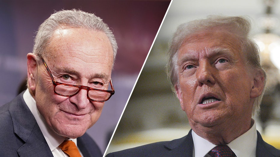 Schumer directs Dems to put pressure on Trump nominees ahead of confirmation hearings