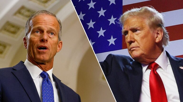 LEADER JOHN THUNE: Congress is ready to work with President Trump to deliver on mandate from Americans