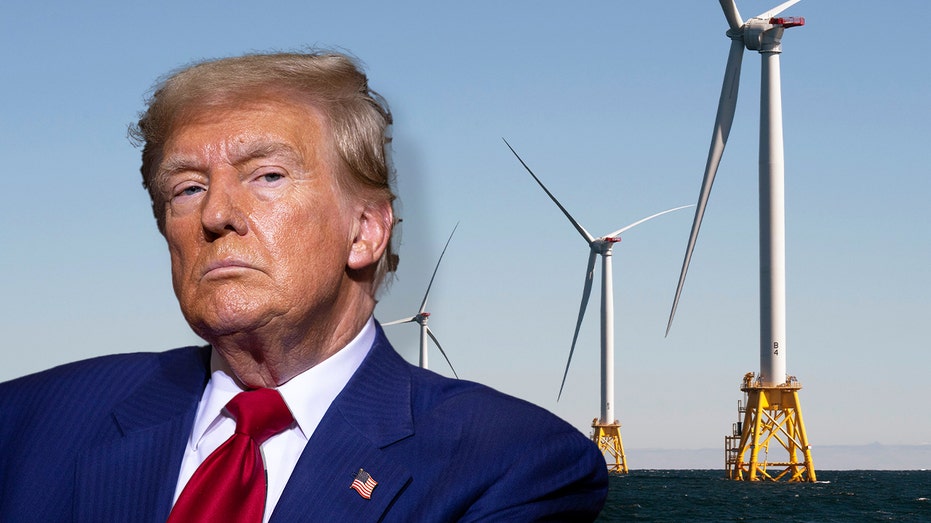 Trump eyes an end to new windmill production under second term, says they are 'driving the whales crazy'