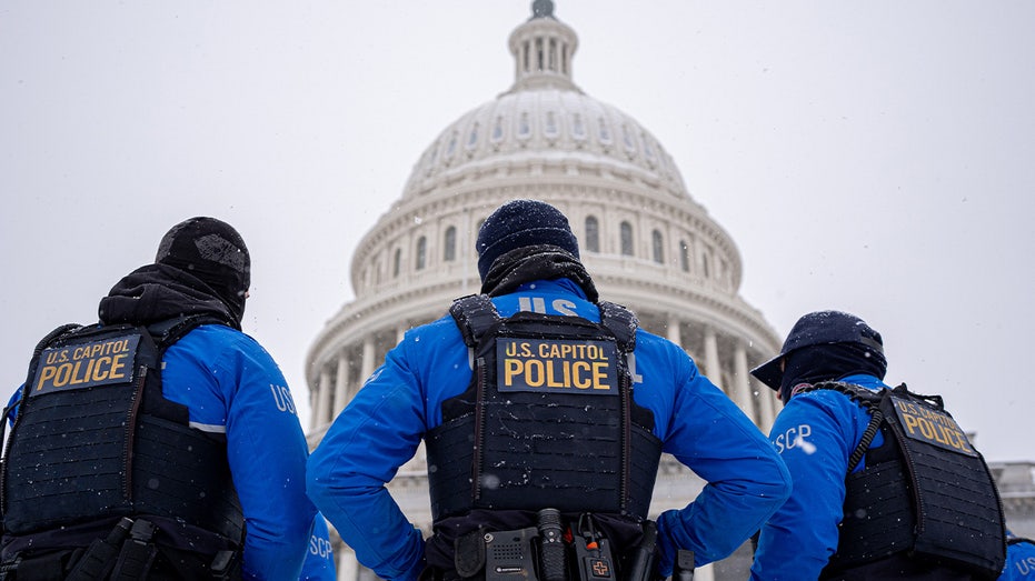 US Capitol visitor completes entire tour armed with gun in security failure