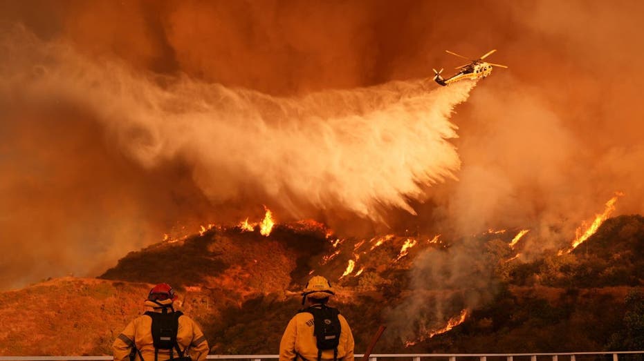 California man pleads guilty after his drone collides with aircraft fighting Palisades Fire