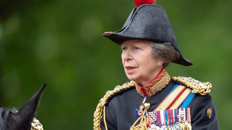 Princess Anne admits hospital staff had to fill in 'the blanks’ after suffering concussion, memory loss