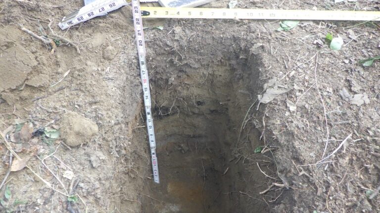 1,000-year-old food storage pit discovered in Alaska