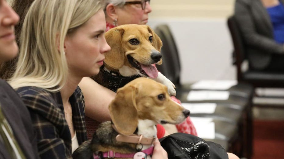 House Rep. Eli Crane says therapy dogs should be mandatory at hearings after joke about Dems' mental stability