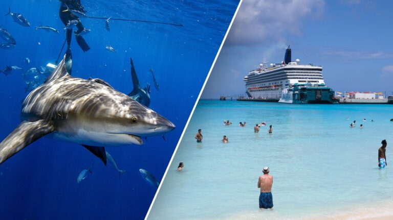 American tourists felt 'nudge' before shark attack at popular Bahamas resort