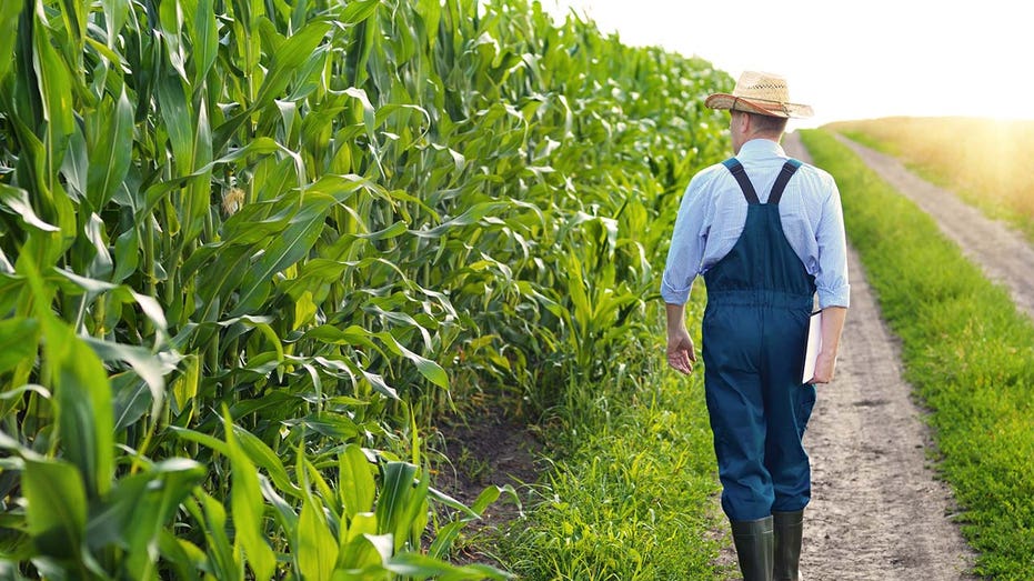 I’m a conservative farmer. We need to protect conservation funding