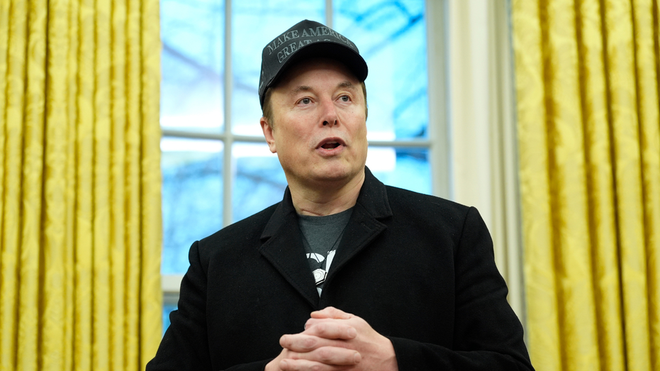 'Overwhelmingly popular': Elon Musk touts Americans' DOGE support