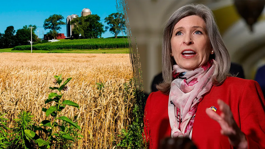 Heartland lawmakers seek to fix 'fundamental' roadblock for farm kids seeking student aid