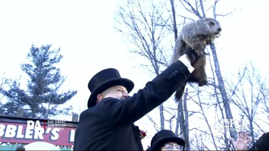 Groundhog Day: Punxsutawney Phil makes annual winter weather prediction