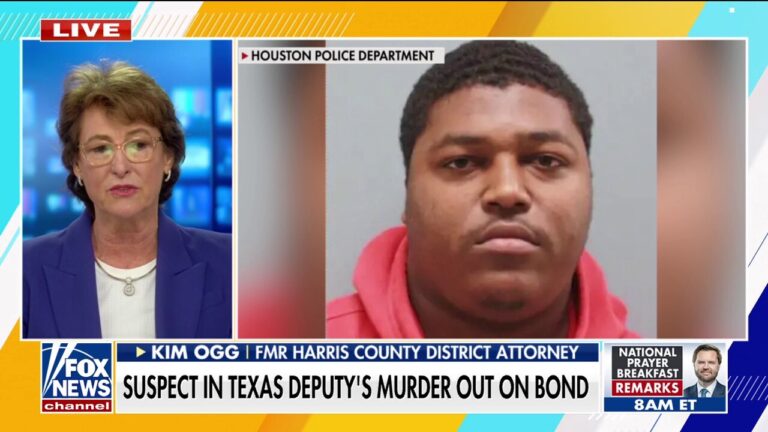 Texas judge called out for 'pattern' of releasing criminals after deputy murder suspect released on bond