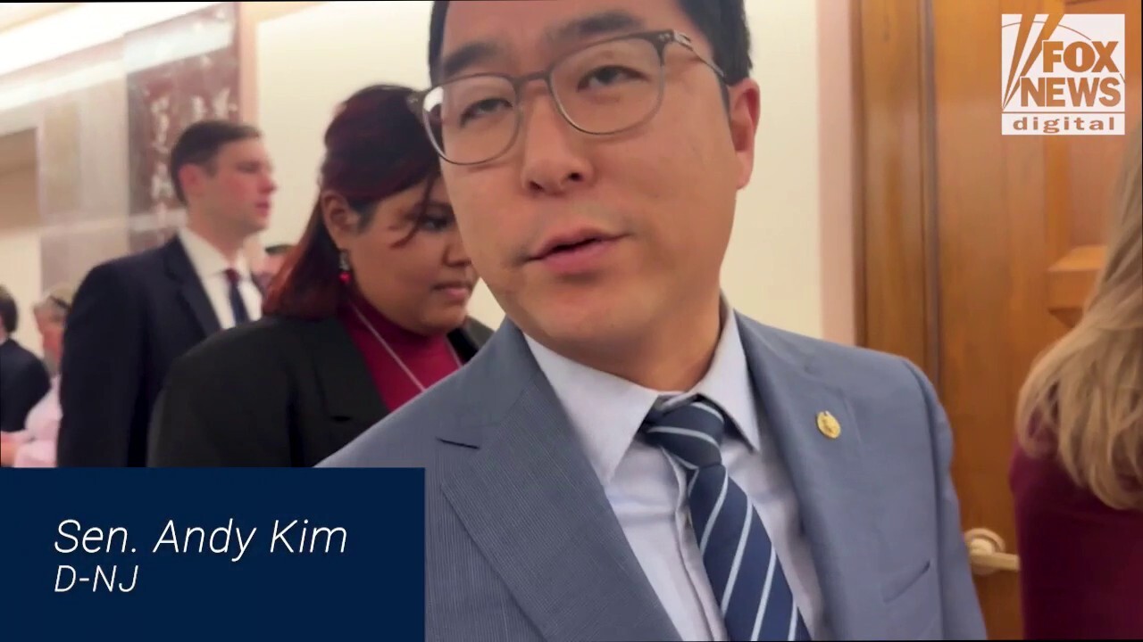 Dems say they’re against government waste, but they hate DOGE more