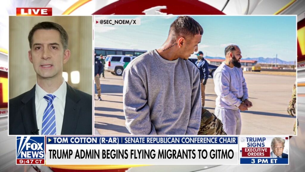 Sen. Cotton praises Trump admin flying migrant criminals to Gitmo: 'Very smart idea'