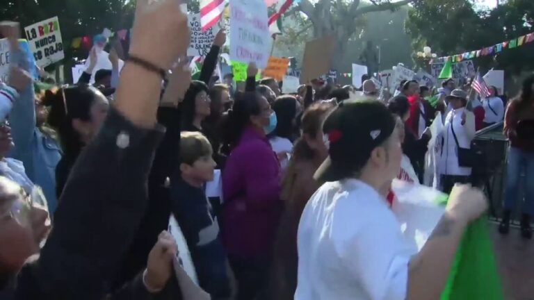 Anti-ICE protesters hold Los Angeles demonstration