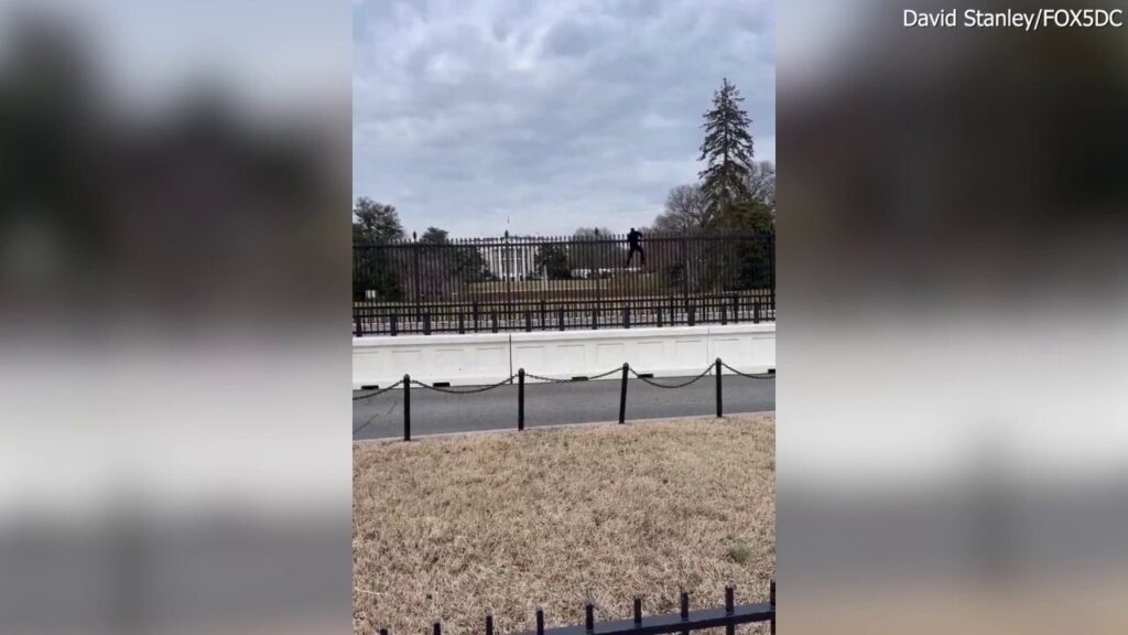 Secret Service nabs White House fence climber