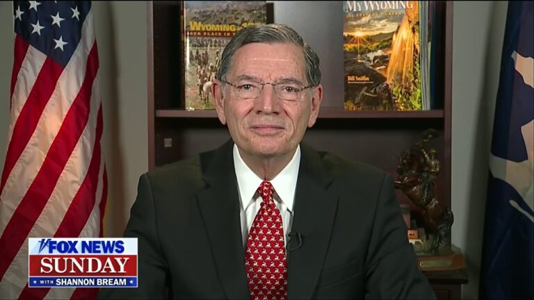 Democrats have been 'running around like Chicken Little’ since Trump took office: Sen. John Barrasso