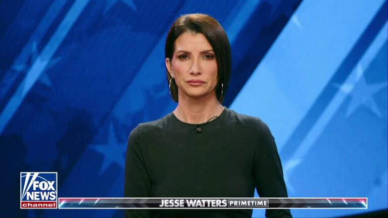 Democrats can't 'un-crazy themselves,' Dana Loesch says