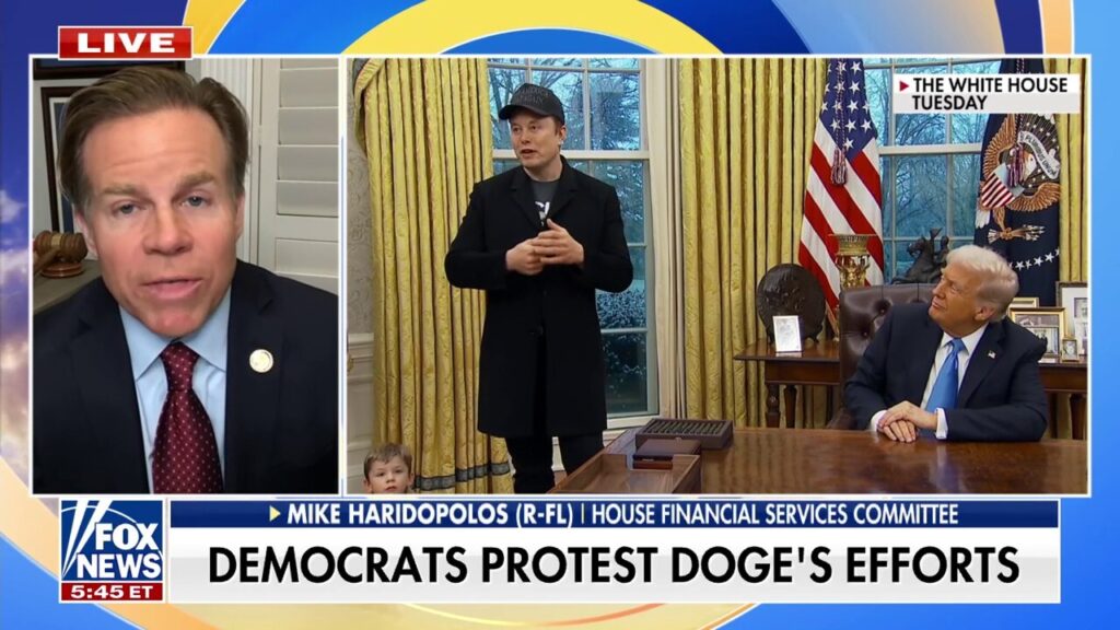 GOP lawmaker blasts Dems for coming out in 'full force' against DOGE: 'Nonsensical'