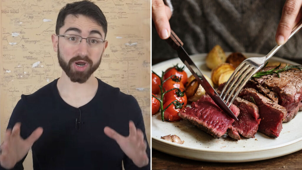 The carnivore diet isn't all bad, says Harvard researcher: Here's why